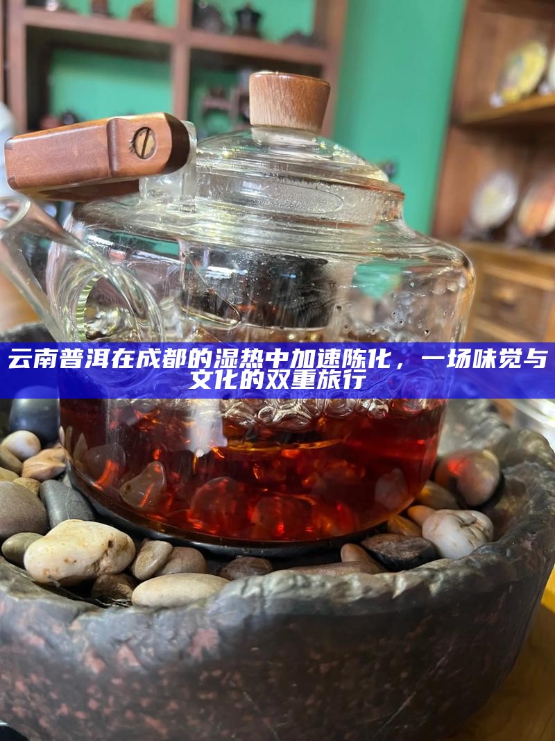 云南普洱在成都的湿热中加速陈化，一场味觉与文化的双重旅行