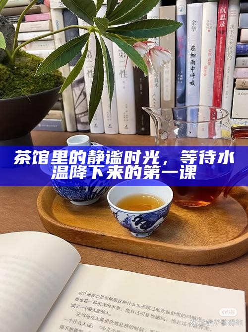 静默的茶语，一抹声音中的集体沉思