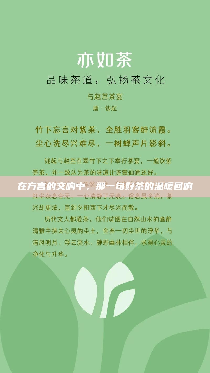 在方言的交响中，那一句好茶的温暖回响