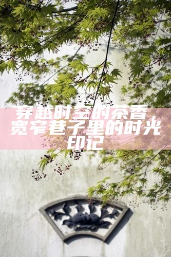 穿越时空的茶香，宽窄巷子里的时光印记