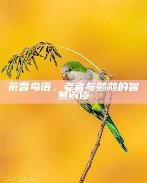 茶香鸟语，老者与鹦鹉的智慧闲谈
