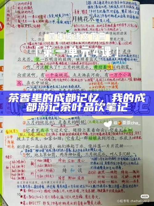 成都茶馆的‘自带茶’特征，一位人类学学生的田野笔记
