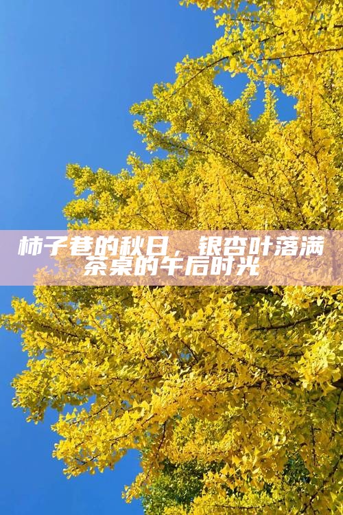 柿子巷的秋日，银杏叶落满茶桌的午后时光