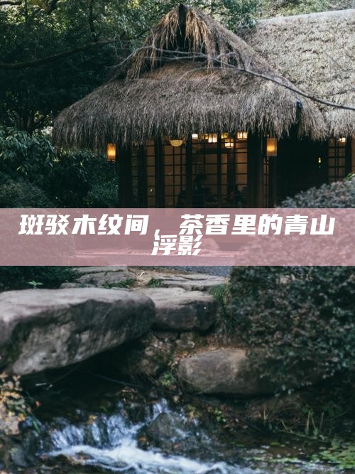 斑驳木纹间，茶香里的青山浮影