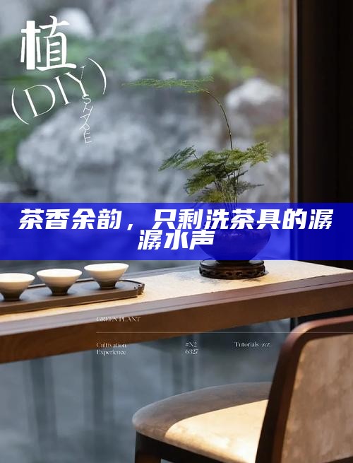 茶香余韵，只剩洗茶具的潺潺水声