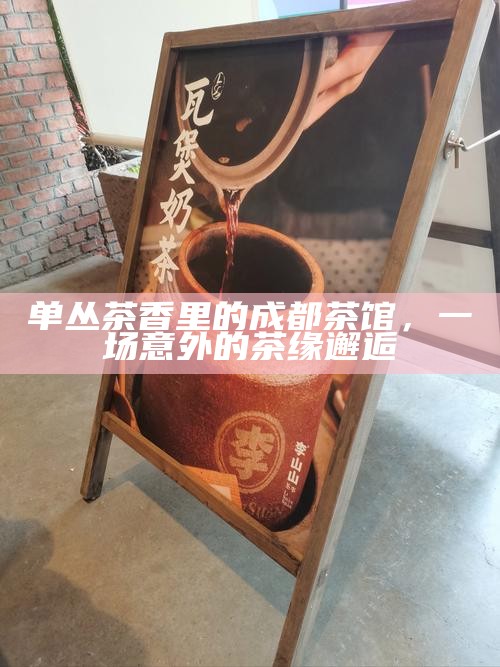 单丛茶香里的成都茶馆，一场意外的茶缘邂逅