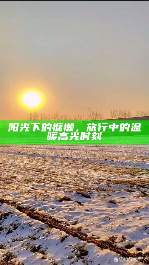 阳光下的慵懒，旅行中的温暖高光时刻