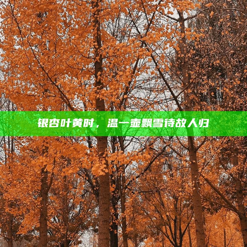 银杏叶黄时，温一壶飘雪待故人归