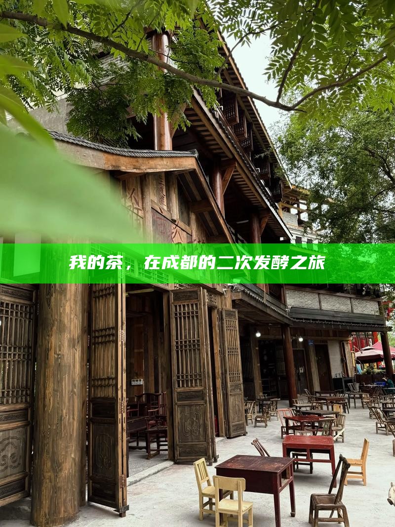 我的茶，在成都的二次发酵之旅