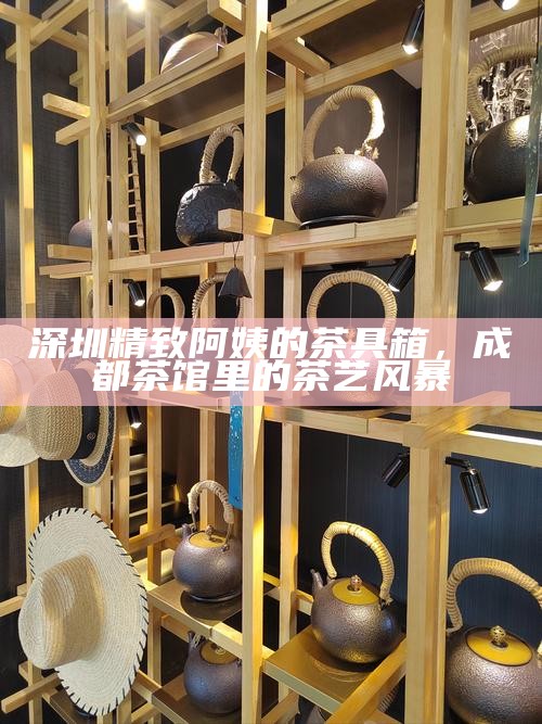 深圳精致阿姨的茶具箱，成都茶馆里的茶艺风暴