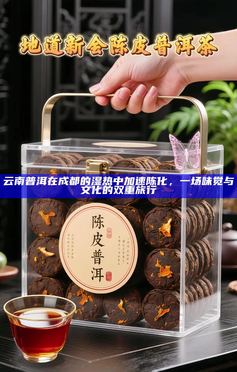 云南普洱在成都的湿热中加速陈化，一场味觉与文化的双重旅行
