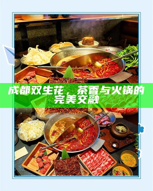 成都双生花，茶香与火锅的完美交融