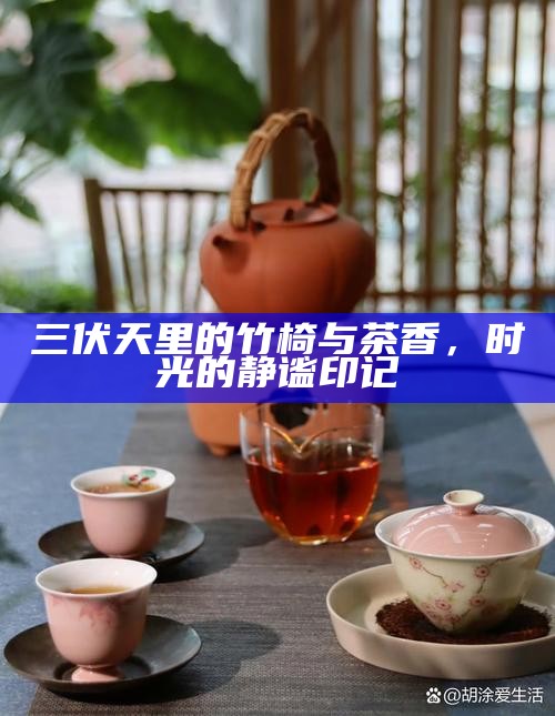 三伏天里的竹椅与茶香，时光的静谧印记