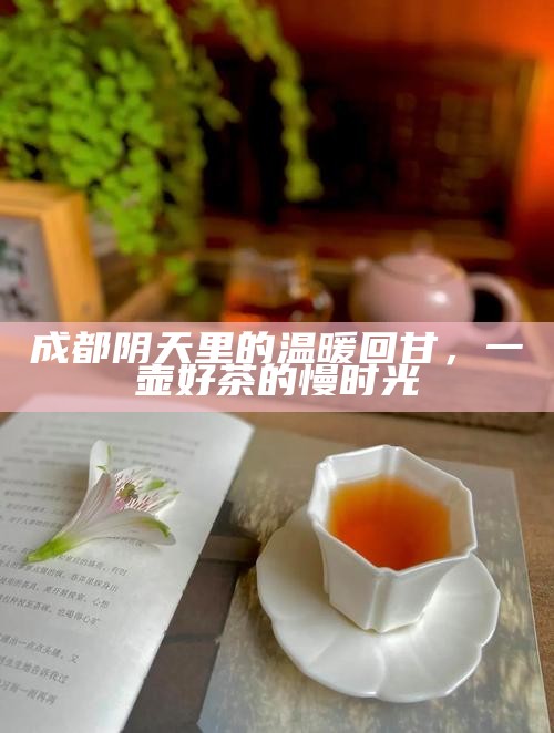 成都阴天里的温暖回甘，一壶好茶的慢时光