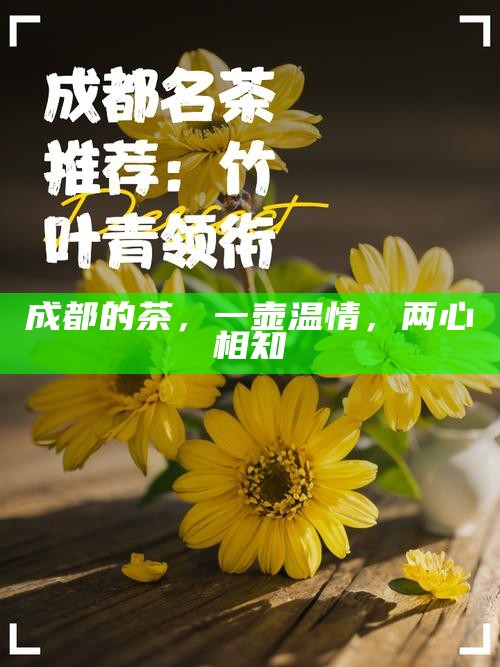 成都的茶，一壶温情，两心相知